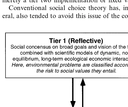 Fig. 3. Two-tiered social decision structure (from Norton etal., 1998).