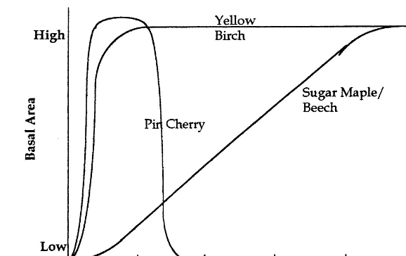 Fig. 3. Northern hardwood succession following clear-cut.