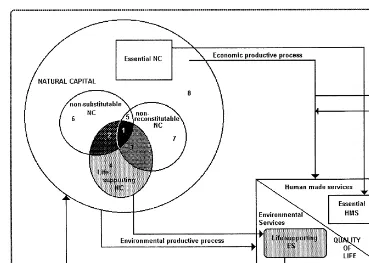 Fig. 5. Natural Capital Categories. Examples of natural capital in the different categories: (1) Rivers and riverine ecosystems thatcannot be reconstituted, and provide non-substitutable support to life, (2) Artiﬁcial forests that provide environmental servicesnecessary for life that cannot be provided with other kinds of capital, but could be reconstructed, (3) Riverine ﬁshing areas, thatcould be substituted by non-life supporting natural capital or human-made capital (4) Wetlands, as puriﬁers of water, to some extentreconstitutable, and substitutable by artiﬁcial puriﬁers, (5) Landscape, sports and aesthetic natural capital (6) Gardens, agriculturalland (7) Minerals (8) Artiﬁcial lakes, pasture land with low biodiversity.