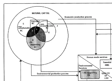 Fig. 6. Overlapping of essential and life-supporting Natural Capital.