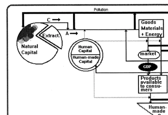 Fig. 1. Traditional view. Thin arrows: Processes that contain natural resources: Production processes (A and C), distribution,consumption and import-export