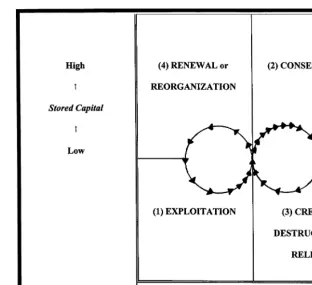 Fig. 1. The ecosystem cycle. Source: Holling (1986, p. 307 and 1995, p. 22).