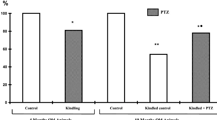 Fig. 3. Depression of benzodiazepine receptor density (B) in 4- and 10-months-old kindled rats