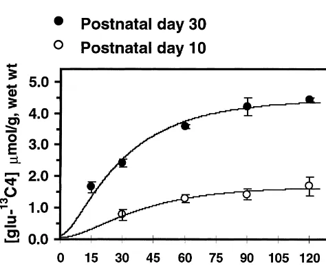 Fig. 3.13C isotopic labeling of glutamate in cortical slices of 10- and30-day-old rats during superfusion of artiﬁcial CSF containing [1-13C]glucose