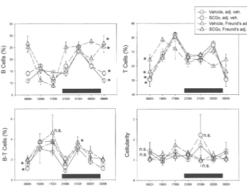 Fig. 2. Twenty-four hour changes in B, T and B–T cell populations and cellularity in submaxillary lymph nodes of rats on the second day after theinjection of Freund’s complete adjuvant or adjuvant’s vehicle