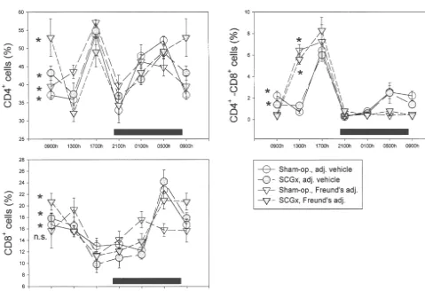 Fig. 3. Twenty-four hour changes in CD4 , CD4 –CD8111and CD81cell populations in submaxillary lymph nodes of rats on the second day after theinjection of Freund’s complete adjuvant or adjuvant’s vehicle
