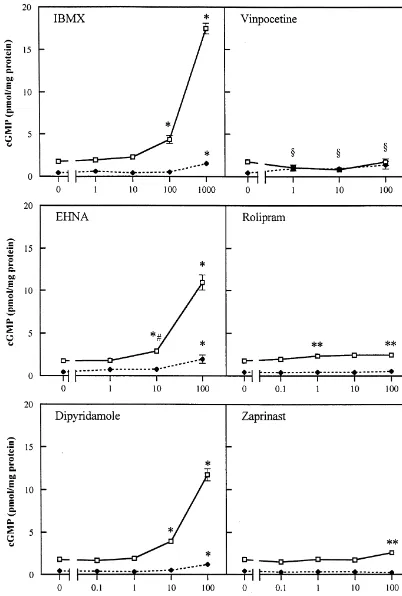 Fig. 1. Effect of PDE inhibitors on cyclic GMP levels in hippocampal slices of the rat, in the absence (♦assayed in triplicate in a radioimmunoassay.Values which were different from control (0 M) (Student Newman–Keuls test;asterisk (*)