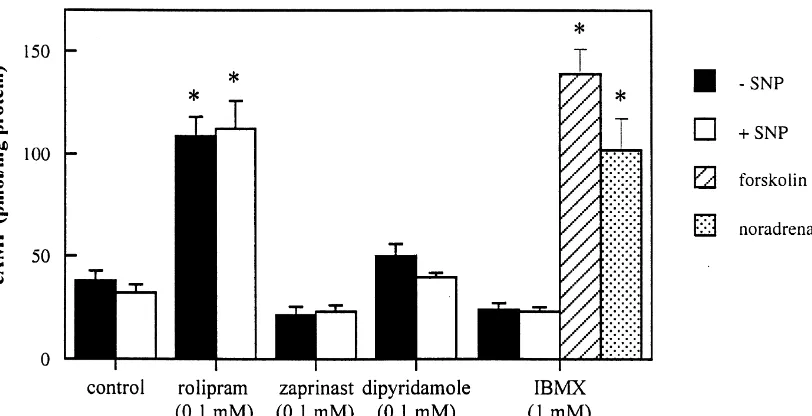 Fig. 2. Effect of PDE inhibitors on cAMP levels in hippocampal slices of the rat, in the presence or absence of 0.1 mM SNP, measured by aradioimmunoassay