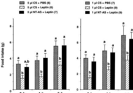 Fig. 1. Effects of neurotensin antiserum (NT-AS) or control serum (CS) on leptin’s effect on food intake induced by food deprivation.Values are presentedas mean6S.E.M
