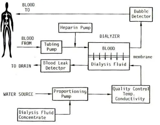 Gambar 1.3  Aliran counter current antara darah dan dialysate pada dialyzer  