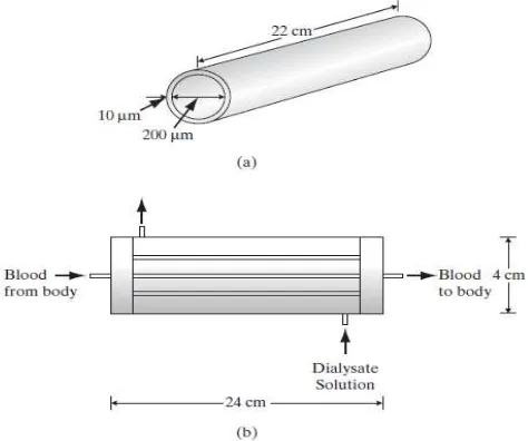 Gambar 2.2  Perangkat Hemodialisis (a) Single tube (b) Complete Module 