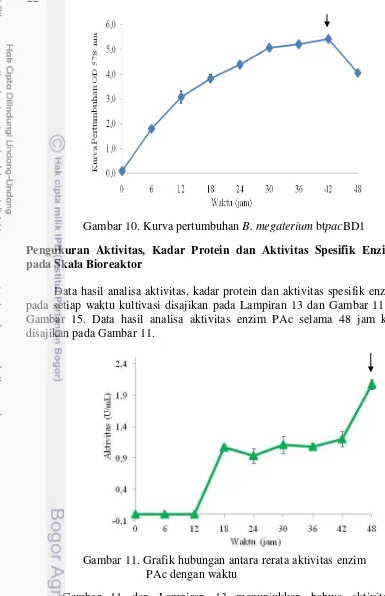 Gambar 10. Kurva pertumbuhan B. megaterium btpacBD1 