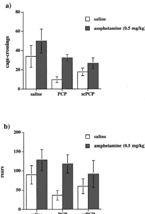 Fig. 2. Amphetamine enhanced the number of cage-crossings (a) andrears (b) across pretreatment groups