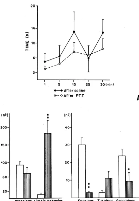 Fig. 2. (A) Lack of effect of pretreatment with PTZ or saline (NaCl,0.9%) on motor performance of the animals submitted to the rota-rod test.(n58; P.0,05, when compared with control, according to Mann–Whitney’s U-test.) Time: recorded window in which anima