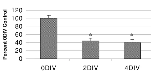 Fig. 1. Densitometric analysis of PPT mRNA levels within the striatummaintained in organotypic slice culture