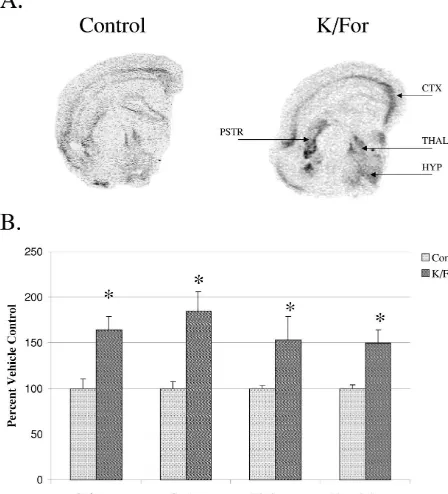 Fig. 2. Effects of non-speciﬁc stimulating agents on PPT mRNA expression. (A) Autoradiograph representing 2DIV slice cultures with or without K/Forstimulation