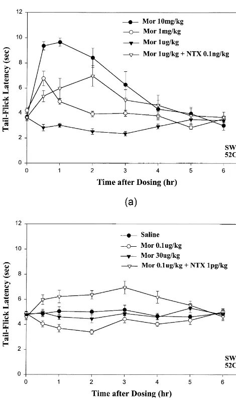 Fig. 1. Hyperalgesia elicited by low-dose morphine is blocked bycotreatment with ultra-low-dose naltrexone (NTX) unmasking potent