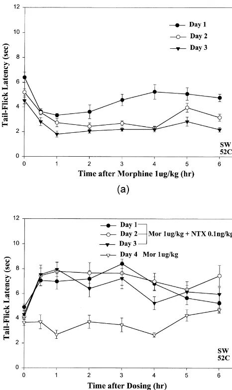 Fig. 3B: vs. Fig. 3A:).Interestingly, in a comparative test carried out on threeadditional groups of mice, the magnitude and the duration