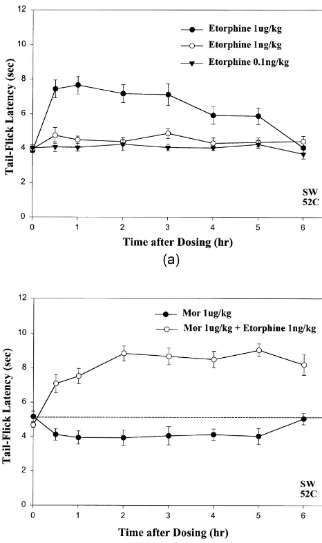 Fig. 4. Antinociception elicited in mice by cotreatment with a low,hyperalgesic dose of morphine (d) plus ultra-low-dose NTX (s) iscomparable to that of the super-potent analgesic, etorphine (.).