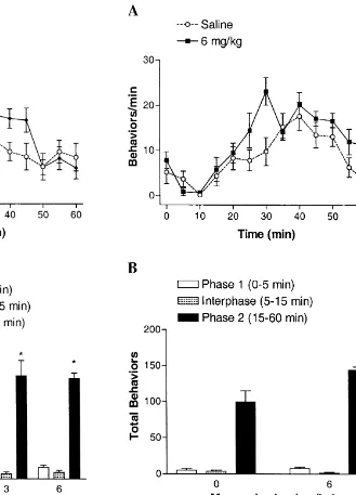 Fig. 2. Effect of pre-formalin injection of mecamylamine on painbehaviors in rats. (A) Time course of the effect of mecamylamine orsaline injected 5 min prior to 0.5% formalin