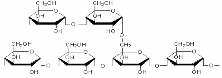 Gambar 2. Struktur kimia Amilopektin (Anonimous, 2009) 