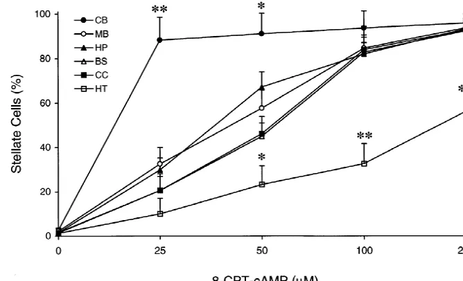 Fig. 2. The effect of glutamate on cAMP-induced astrocyte stellation. Astrocytes were maintained in the absence of serum for 24 h, and then the cells weretreated with 250stellation most effectively in cortical (CC) and hippocampal (HP) astrocytes but not i