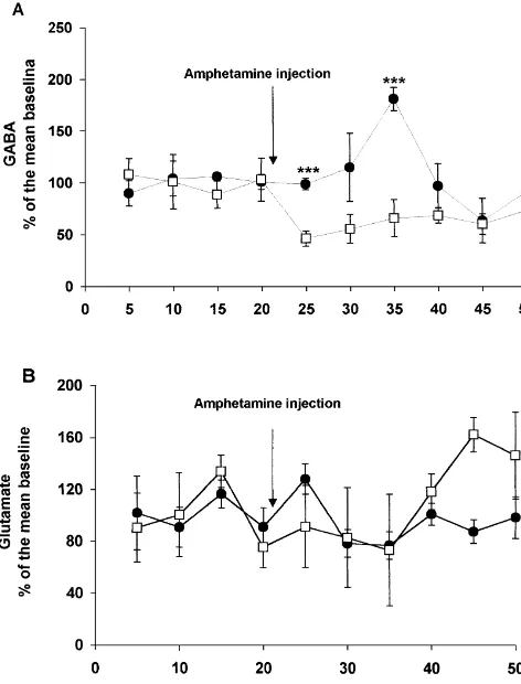 Fig. 3. (A) After the systemic administration of amphetamine in prefron-tal transected rats (open squares), extracellular levels of GABA showed aextracellular levels of glutamate after the systemic administration ofamphetamine in both groups, i.e., prefron