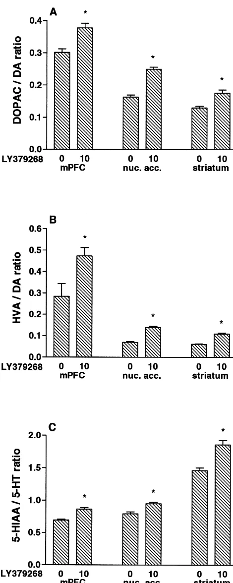 Fig. 3. Comparison of LY379268 (10 mg/kg s.c.) increases turnover ofdopamine and 5-HT across rat brain regions