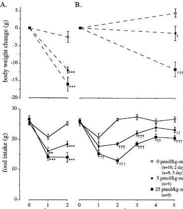 Fig. 1. Effects of 2-day (A), and 5-day (B) infusions of islet amyloid polypeptide (0, 5, and 25 pmol/kg–min) on daily food intake (bottom) and bodyweight change (top) in ad libitum fed rats