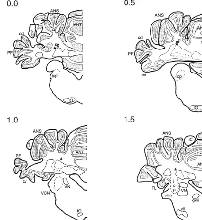 Fig. 1. Schematics of coronal sections through the rabbit cerebellum and brainstem showing locations of cannula tips for experiment 1 rabbits