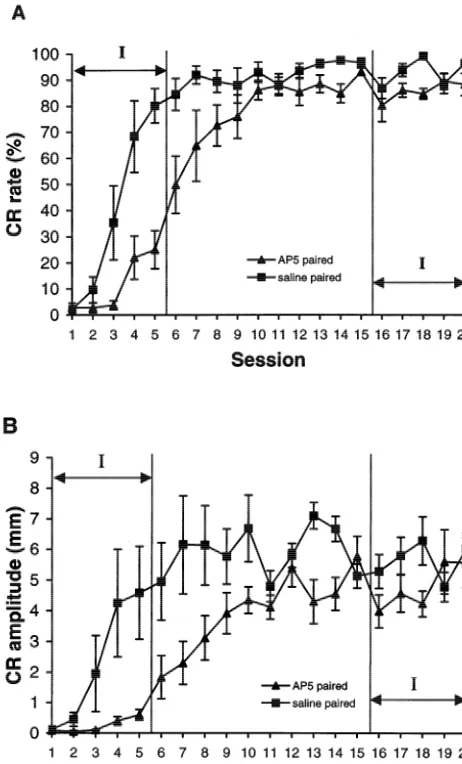 Fig. 2. Learning curves for rabbits trained across 20 sessions in experi-ment 1. (A) Percent CRs and (B) CR amplitudes recorded from saline(squares) and AP5 (triangles) rabbits