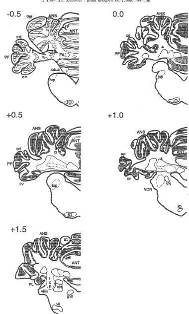 Fig. 3. Schematics of coronal sections though the rabbit cerebellum and brainstem showing locations of cannula tips for experiment 2 rabbits