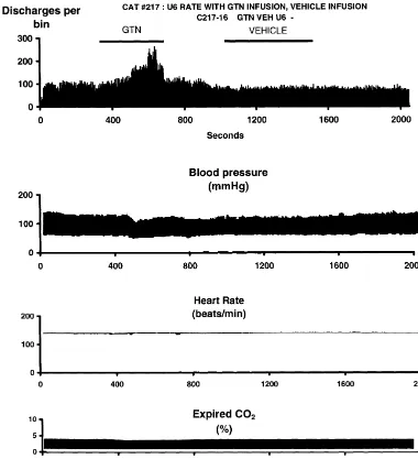 Fig. 2. Top: Peri-event histogram of the same neuron shown in Fig. 1 to intravenous infusions of glyceryl trinitrate (‘GTN’) and of vehicle at a rate of 100mg kg21min21(ﬁrst and second bars, gray)