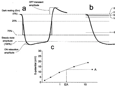 Fig. 1. Measurement of HC light response components. (a) Schematic of the light response waveform of an L-HC to a |500-ms stimulus