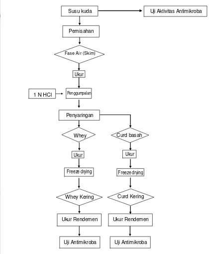 Gambar 6.  Skema urutan proses produksi konsentrat antimikroba