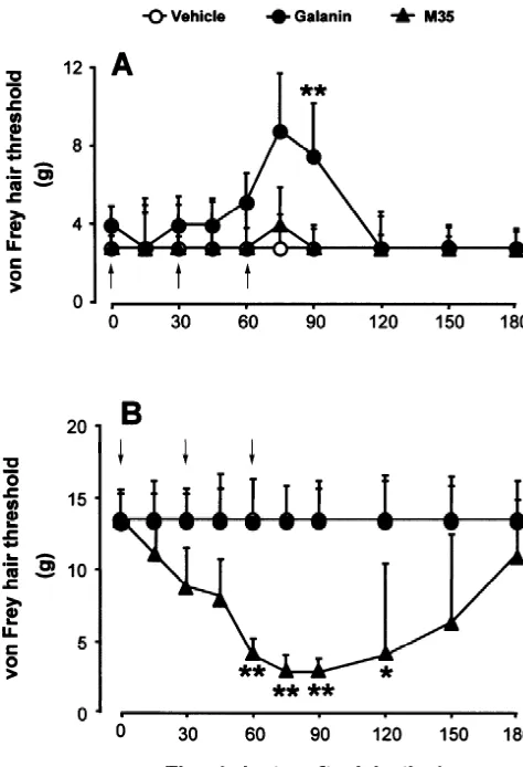 Table 1Effects of high dose M35 on mechanical threshold in allodynic and of bradykinin, and bradykinin fragment(2–9) in non-allodynic rats