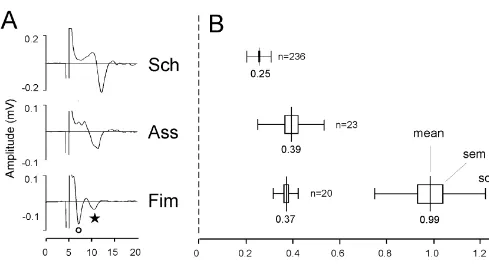 Fig. 1. Hippocampal compound action potentials and conduction velocities. (A) Averages of action potentials recorded from the Schaffer collaterals (Sch),longitudinal association ﬁbres (Ass) and the ﬁmbria (Fim)