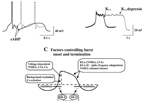 Fig. 4. Spike frequency regulation, NMDA-plateau potentials and control of burst termination