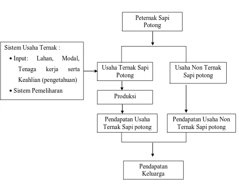 Gambar 1 . Skema kerangka pemikiran sistem usaha ternak sapi potong dan kontribusinya 