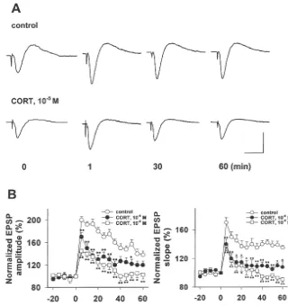 Table 1CORT application for 3 h reduced the generation probability of LTP and PPF in rat hippocampal CA1 synapses