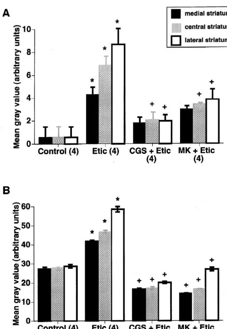 Fig. 2. Effect of IBMX on (A) c-fos1 and (B) zif268 expression instriatum induced by a high dose of eticlopride