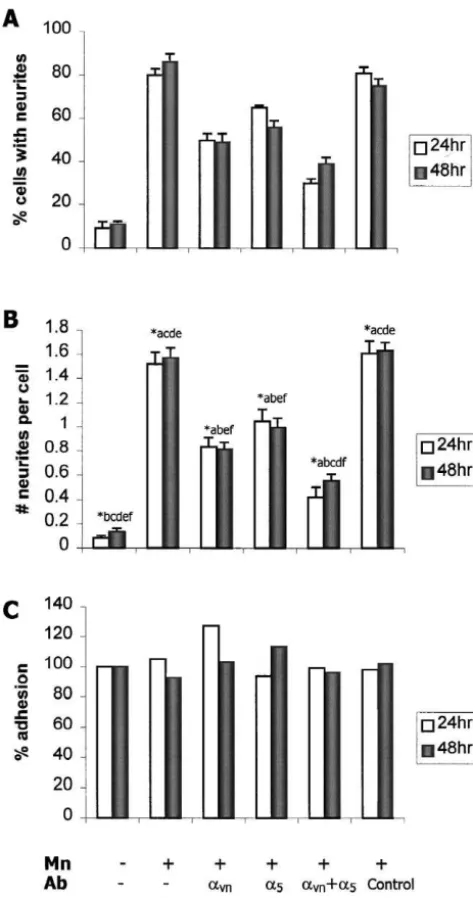 Fig. 5. Characterization of a stable clone of PC12 cells (nrPC12) thatdoes not respond to the neurite-promoting effects of Mn