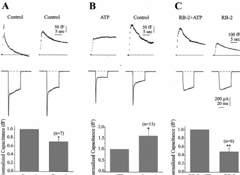 Fig. 2. ATP inhibits catecholamine secretion when elicited with two stimulations in the same cell