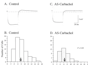 Fig. 3. Frequency distribution of rheobase measured under control (A; n555 cells) and AS-carbachol (B; n530 cells) conditions