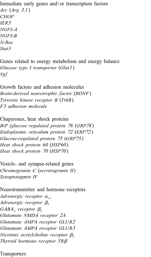 Table 2Known genes expressed at higher levels in the rat cerebral cortex after 8 h