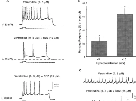Fig. 2. Voltage-dependent inhibition of bursting by CBZ. (A) Traces from a single neuron recorded in the presence of veratridine (0.3 mM, upper trace)