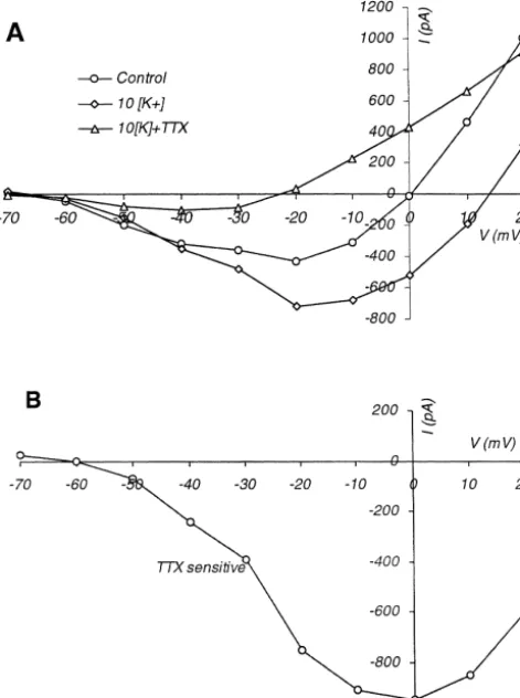 Fig. 6. Icomponent of currents. Points are the averages from four cells, in normal–V curves averaged from four cells, demonstrating TTX sen-sitivity of persistent inward current