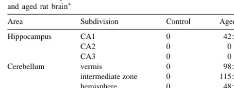 Table 1The number of p53-immunoreactive neurons in each area of the control