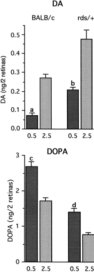 Fig. 4. DA metabolism during the ﬁrst 0.5 h in light, at the beginning ofthe day period, and after 2 h into the day period
