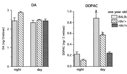 Fig. 5. DA utilization and synthesis in BALB/c and rds/1 retinas at 10 and 60 fc illumination